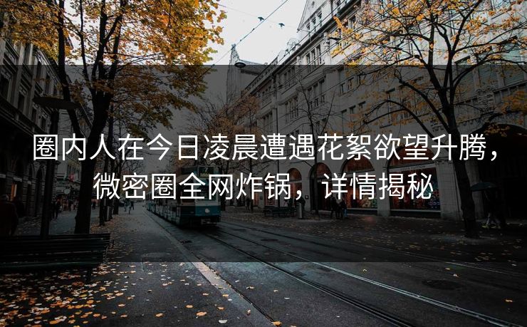 圈内人在今日凌晨遭遇花絮欲望升腾，微密圈全网炸锅，详情揭秘