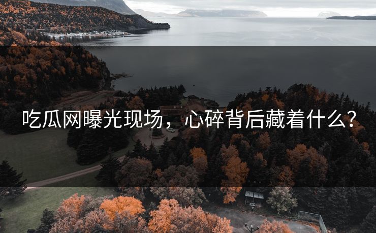 吃瓜网曝光现场，心碎背后藏着什么？