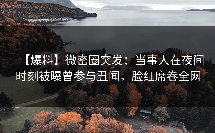 【爆料】微密圈突发：当事人在夜间时刻被曝曾参与丑闻，脸红席卷全网